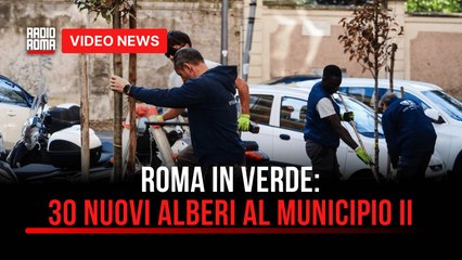 Roma in verde, 30 nuovi alberi al Municipio II: Al via “la cultura della cura”