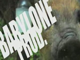 FUCKING FRANZ : FACE CACHEE DU POETE // BABYLONE PROD