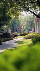 【ENG DUB】She Chased The Wrong Guy For 7 Years. A Crash Erases Her Pain, But Her Ex Won't Let Her Go.