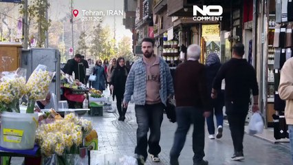 Tehran's severe pollution forces school closures and limits traffic