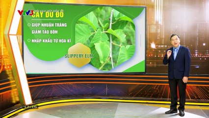 Mỗi Ngày Một Niềm Vui - VTV3 - 24/11/2025