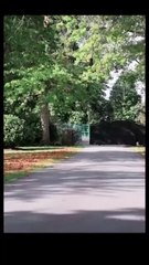 Mafia's Tender Torture HOT NEW 2025