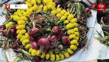 मंदसौर में किसानों ने निकाली प्याज की अर्थी, श्मशान में जलाई चिता, सरकार के खिलाफ गुस्सा