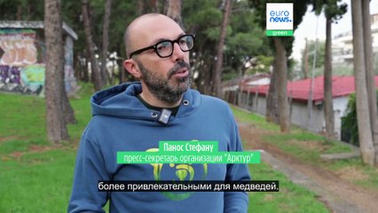 Жители Северной Греции взялись за оружие: они обеспокоены появлением диких животных