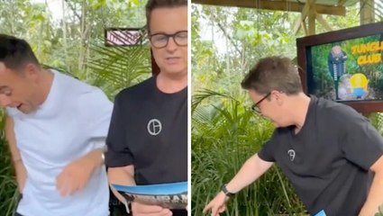 Ant and Dec’s I’m a Celeb livestream halted as presenter recoils in fear