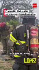 Incendios por pinos navideños: Protección Civil hace simulacro y pide reforzar la prevención en diciembre