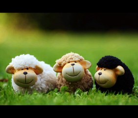 SERDAR ŞİMŞEK OYUNCAK TASARIMI