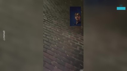 Unexpected Street Proposal Melts Hearts Online