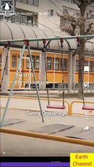 Blind Her Heart-Dwave Full Movies English Sub