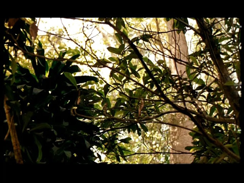 Quase Nada (2000) parte 4 (final)