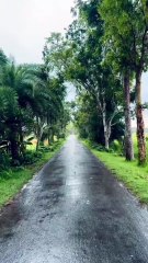 Beautiful rainy day status l rain status l monsoon l barish whatsapp status