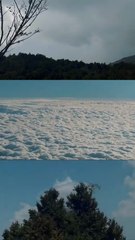 Informative & Entertainment Hub Daily New Videos