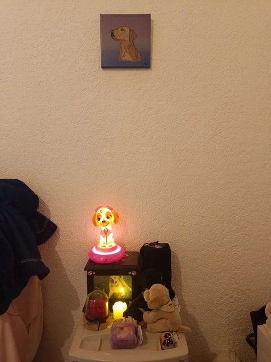 Encore un hommage