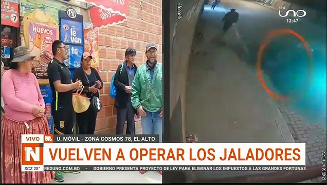 VUELVEN LOS JALADORES AL ALTO