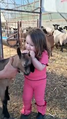🐐 Kids vs. Goats & Sheep: The Ultimate Farm Comedy Compilation! 😂