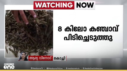 കഞ്ചാവ് കൈമാറുന്നതിനിടെ രണ്ടു പേർ പിടിയിൽ... 8 കിലോ കഞ്ചാവ് പിടിച്ചെടുത്തു..