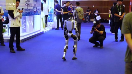 Puentes invisibles: Innovación sin fronteras