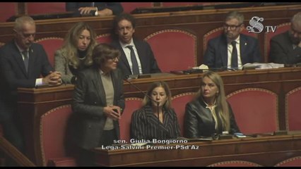 Violenza donne, si arena pdl consenso in Senato, maggioranza frena
