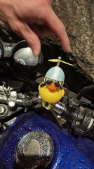 Esquema de entrega de drogas é flagrado e cocaína surge em pato de borracha em Florianópolis