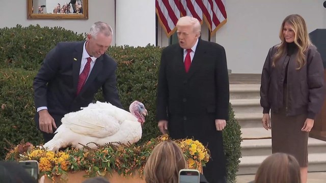 Presidential Gobble: Trump Mimics Turkey in Unforgettable Pardon Clip