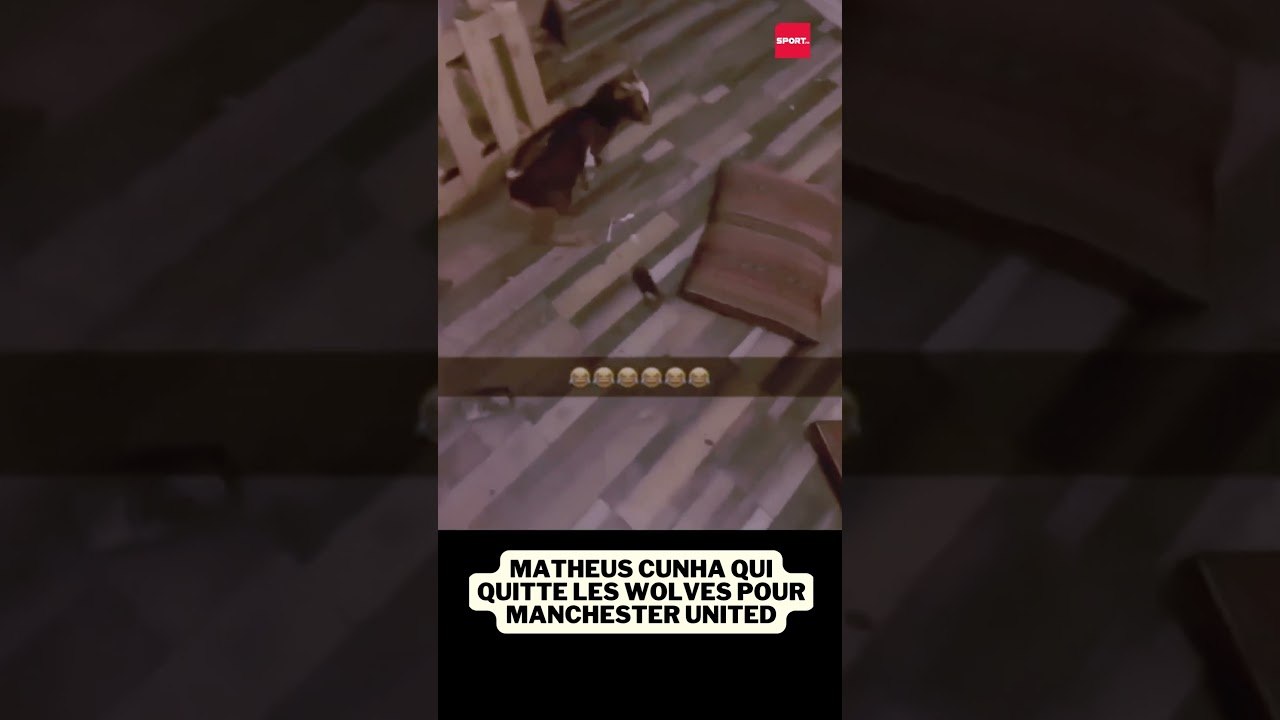 Matheus Cunha qui quitte les Wolves pour Manchester United... #football #united