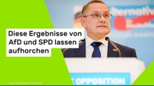 Diese Ergebnisse von AfD und SPD lassen aufhorchen
