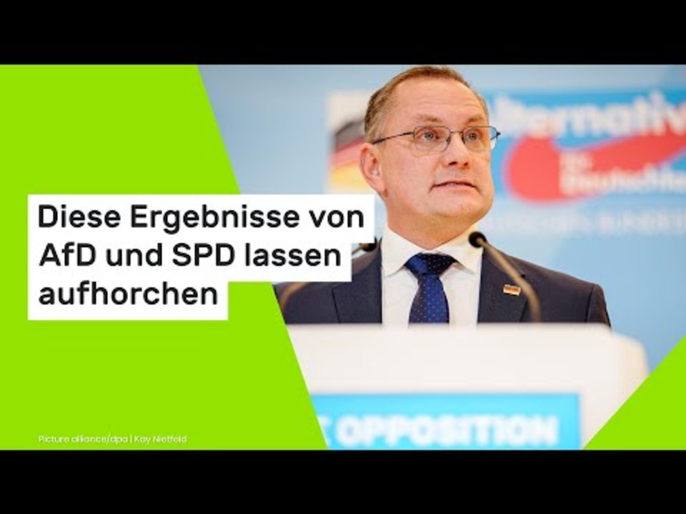 Diese Ergebnisse von AfD und SPD lassen aufhorchen