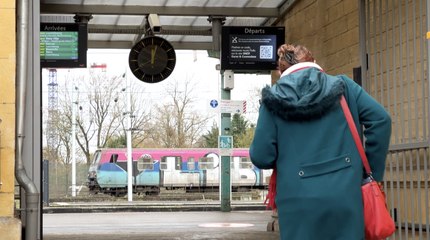 « En France, j'aurais gagné le SMIC ! » Salaires mirobolants au Luxembourg : un Eldorado, mais à quel prix ?