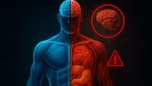 Build Muscle, Save Your Brain: New Study Reveals Shocking Link