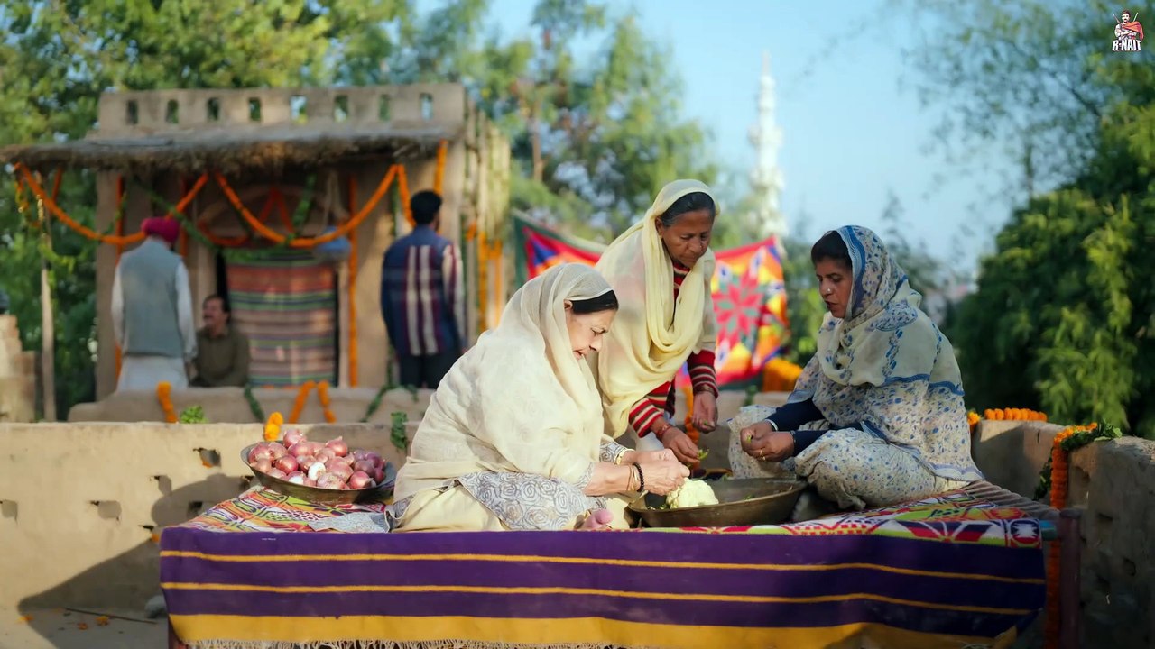 Jawai (ਜਵਾਈ) – R Nait ft. Drishty Talwar | Nirmal Rishi  | MixSingh | New Punjabi Songs 2025