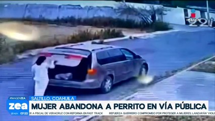 Mujer abandona a perrito en vía publica de Saltillo, Coahuila
