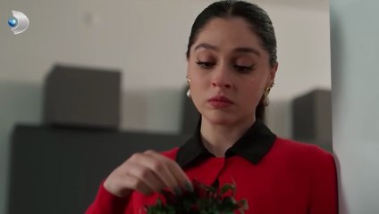 مسلسل ورود و ذنوب الحلقة 8 كاملة مترجمة,