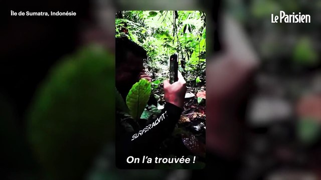 En larmes, il filme l'une des fleurs les plus rares au monde