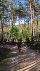 love this  #tactical #military #navy #sof #specialforces #navyseal #woodland #marsoc #deltaforce #militarylife