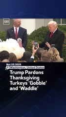 Trump Pardons Thanksgiving Turkeys ‘Gobble’ and ‘Waddle’