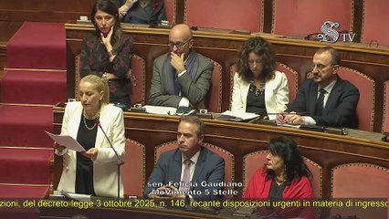 Gaudiano - Intervento in Senato (25.11.25)