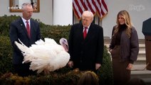 Melania Trump Joins Donald for Turkey Pardon on the Rose Garden Patio Before Thanksgiving Trip to Mar-a-Lago