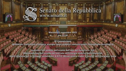 Roma - Miglioramento dell'assetto del mercato dell'energia elettrica dell'Unione (25.11.25)