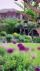 THE RICHEST MAN'S DAUGHTER - FULL MOVIE [Eng Sub]