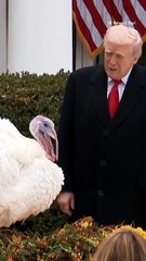 Melania Trump Joins Donald for Turkey Pardon on the Rose Garden Patio Before Thanksgiving Trip to Mar-a-Lago
