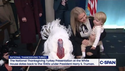 Karoline Leavitt’s son steals limelight at White House turkey pardoning