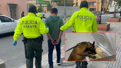 Desmantelan red de microtráfico que operaba dentro de la UIS en Bucaramanga