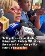 "Faltó pedirle excusas al país, lo hicimos mal": Diputada PRM critica discurso de Paliza sobre políticos ligados al narcotráfico