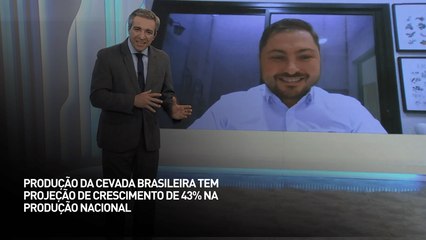 Produção de cevada brasileira tem projeção de crescimento de 43% na produção nacional