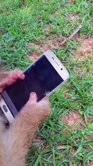 Viral video SokYaa, OG, Pao & Mom Are Famous Around The World #shorts #anime #trend #edit