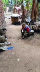 Good Job Best SokYaa, OG, Pao & Mom Are Famous Around The World #shorts #anime #trend #edit