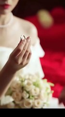 What Broke Wasn't Just the Vow Full Movie