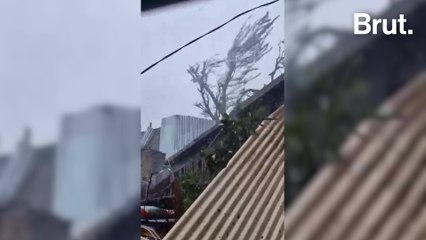 À Mayotte, le chaos post-cyclone est-il toujours là ?