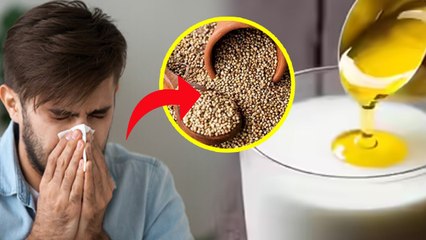 Warm Diet Tips:Sardiyon Mein Pet Ko Garam Rakhne ke Liye Kya khana Chahie |Healthy Food For Stomach