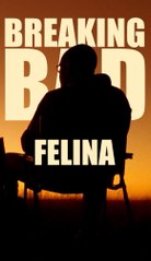 Breaking Bad - Felina